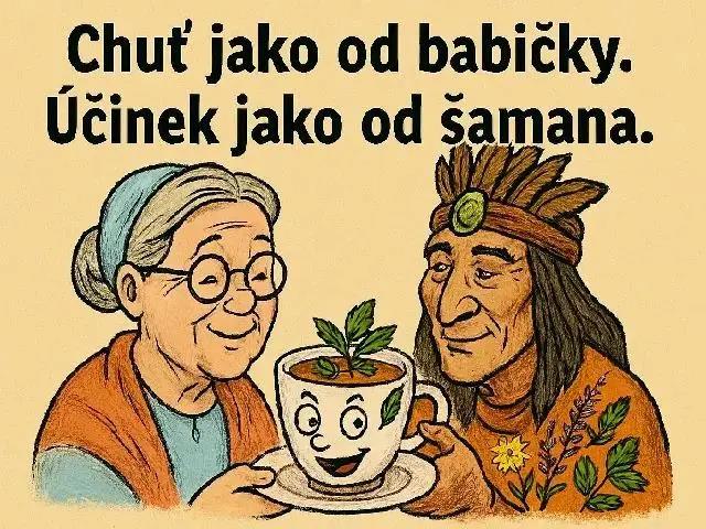 Bylinářské koště účinek jak od šamana